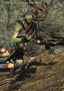 Methuli Cattlan the Hard