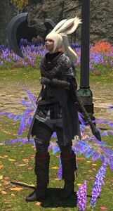 Uncertain Guide