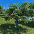 Thumbnail for version as of 22:35, 5 May 2026