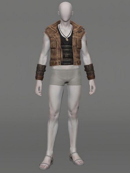 File:Avalanche Leader's Vest Male.jpeg