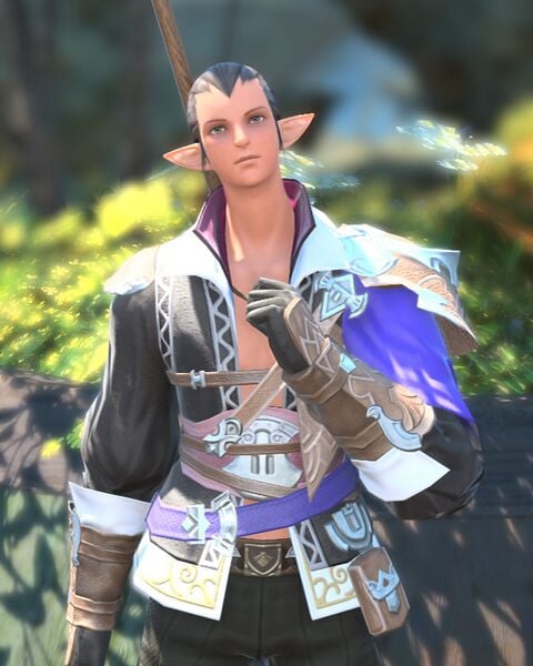 File:Mild-mannered Adventurer.jpg