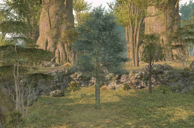 File:The Hedgetree (Central Shroud).jpg