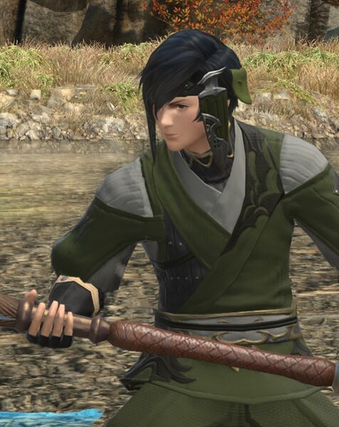 File:Veteran of the Fierce.jpg