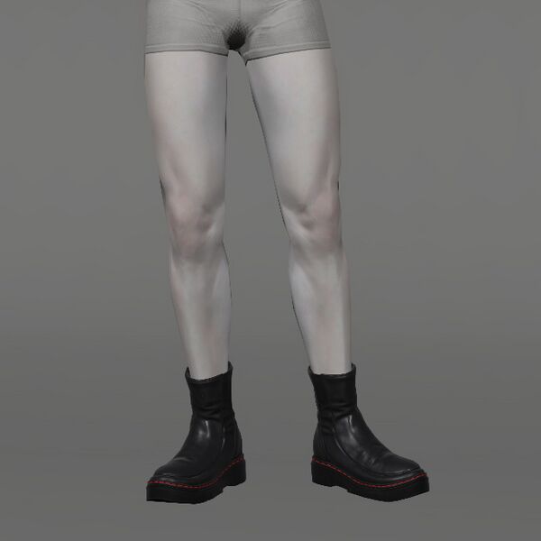 File:Cozy Valentione Shoes Male.jpeg