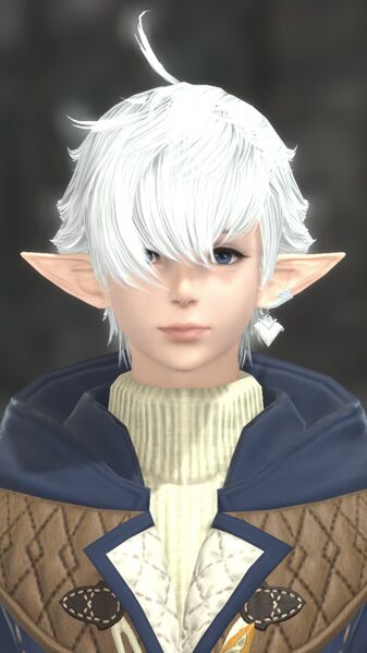 File:Alphinaud (cold) Portrait.jpg