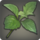 Bacchus Grape Leaf Icon.png