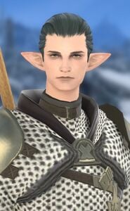 Convictor Knight (Requiem on Ice)