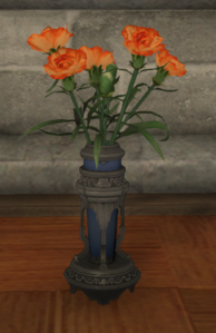 Orange Carnations