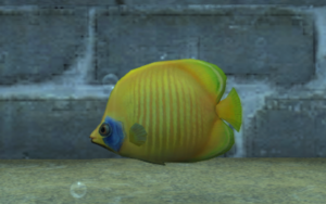 A lemon shaped fish colored like the sun with slightly darker stripes along its body. It has a dark blue patch behind the eyes. Its fins are short and unassuming.