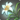 Dravanian lily icon1.png