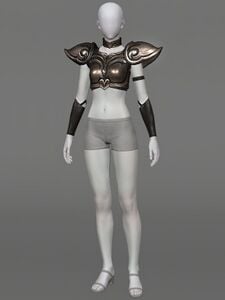 Phantom Vision Corselet of Fending