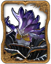 Belladonna Card