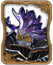 Belladonna Card