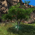 Thumbnail for version as of 00:40, 8 May 2026