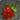 Nameless red fruit icon1.png