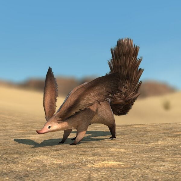 File:Squirrel (Beast).jpeg