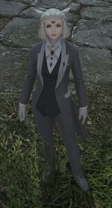 Albright Manor Servant