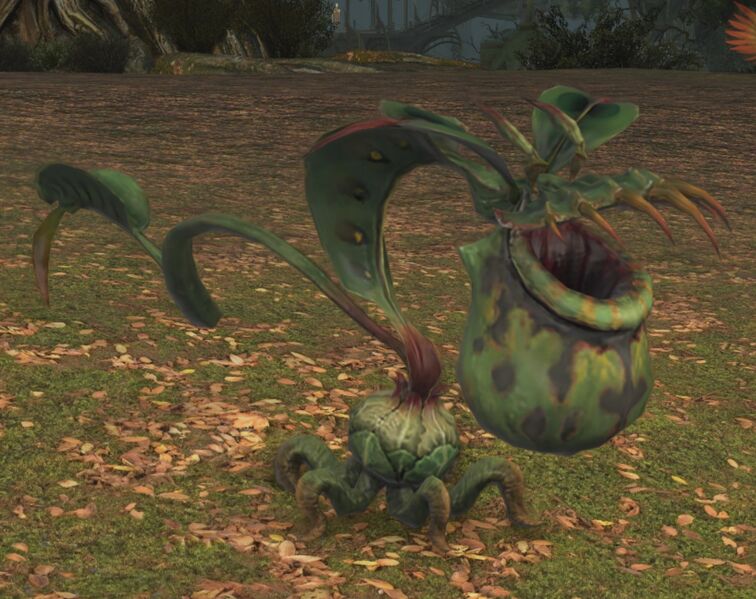 File:Floating Snapweed.jpg