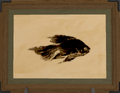 Thumbnail for version as of 19:13, 12 May 2026