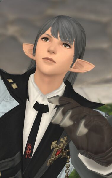 File:Occupied Administrator.jpg