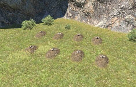 Near the Wound sits a small cemetery.