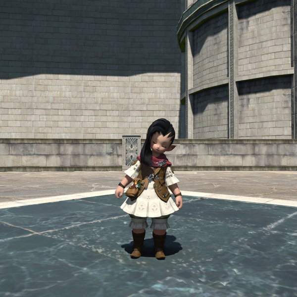 File:Doze Emote Standing.png