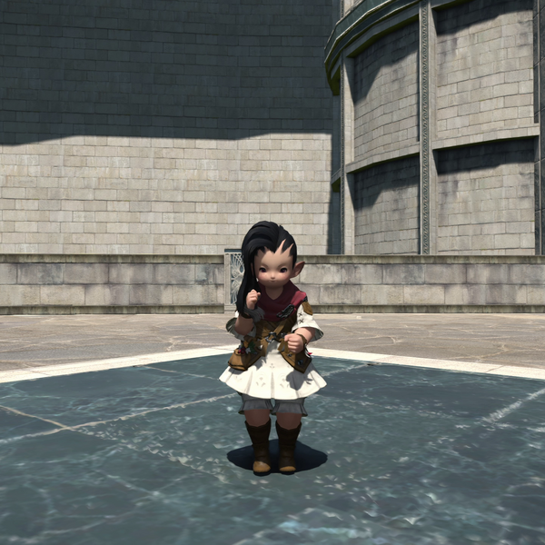 File:Humble Triumph Emote One.png