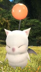 Pukno Poki