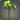 Green cattleyas icon1.png