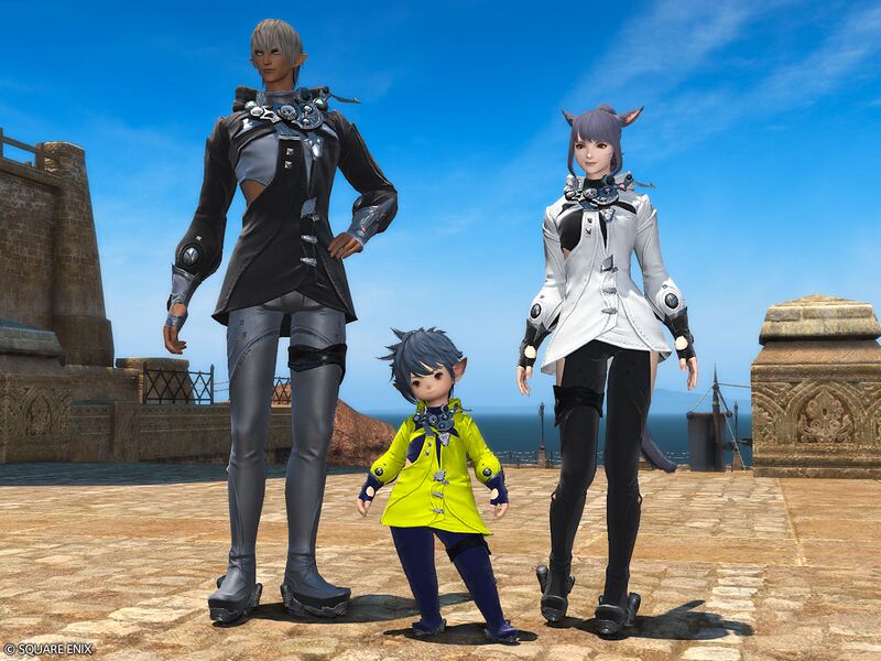 File:Sharlayan Prodigy's Suit4.jpg