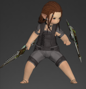 Eternal Sword and Shield (Paladin)