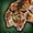 Tiger of paradise icon1.png