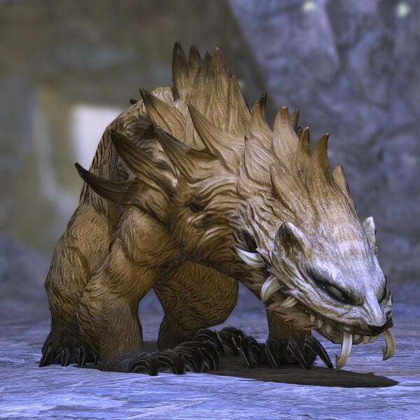 File:Crescent Ratel.jpeg