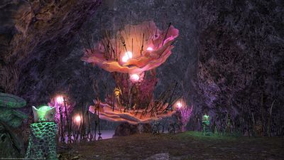 Sapsa Spawning Grounds - Final Fantasy XIV A Realm Reborn Wiki - FFXIV ...