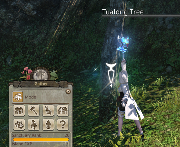 File:Tualong Tree.png