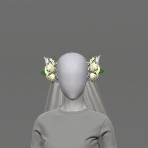 Veil of Eternal Innocence