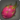 Dragonfruit icon1.png