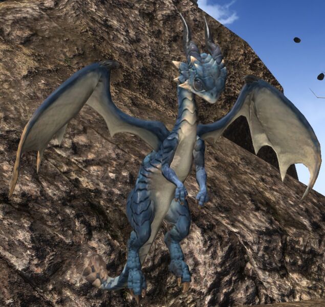 File:Zenith Dragonling.jpg