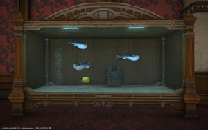 Blowfish aquarium1.jpg
