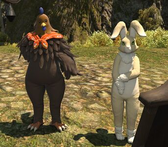 Chicken of Resolve and Rabbit of Reason