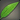 Island Palm Leaf