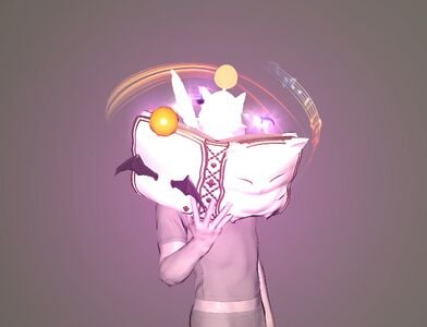 Munificent Moggle Mogtome