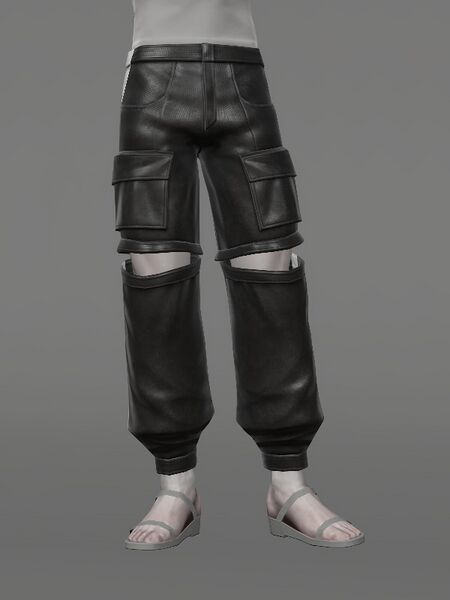 File:Rule-breaker's Bottoms Male.jpeg