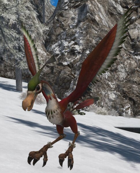 File:Blood Bateleur.jpg