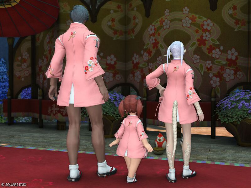 File:Lady's Suikan Set3.jpg