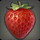 Berry Simular