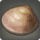 Island clam1.png