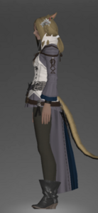 Dravanian Tunic of Aiming left side.png