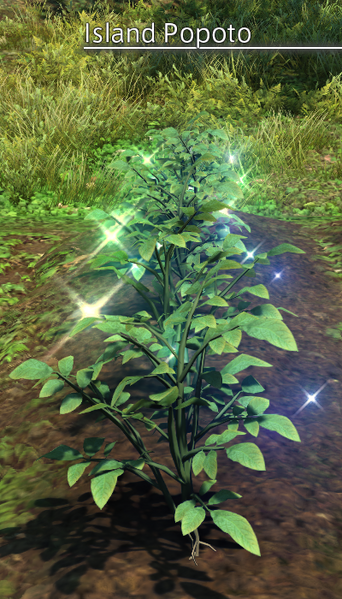 File:Island Popoto Mature.png