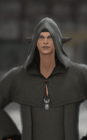 File:Sharp-eyed Loiterer 3.png